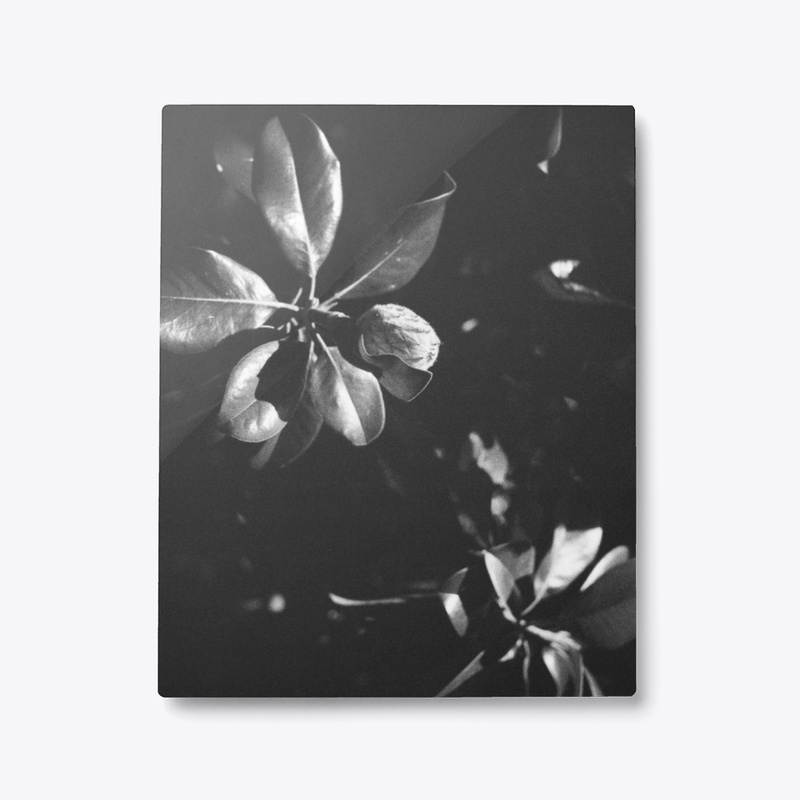 Print collection 3