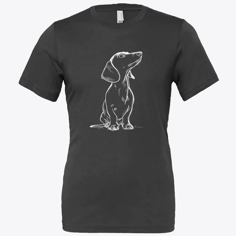 Minimal Dachshund Doodle
