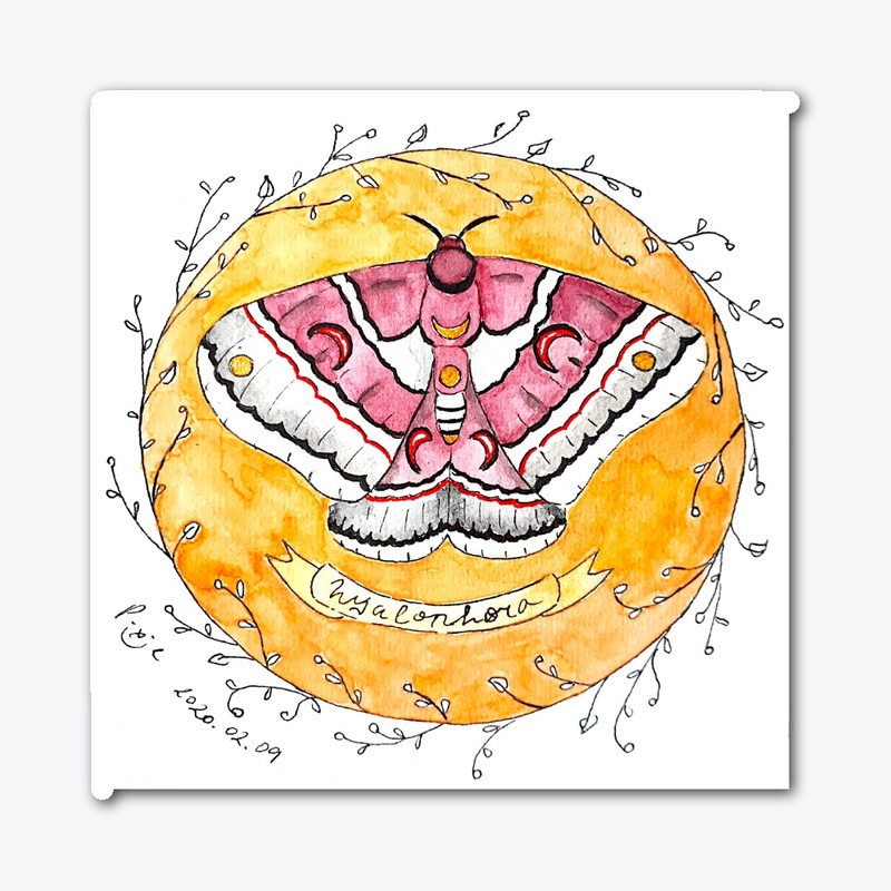Watercolours Moth