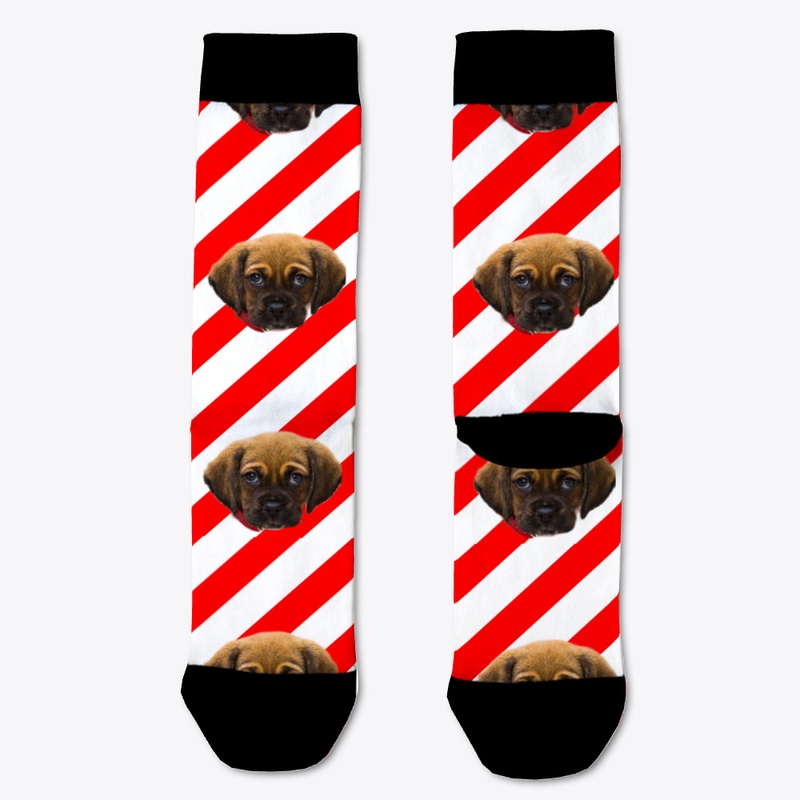 Puppies and Candy Canes