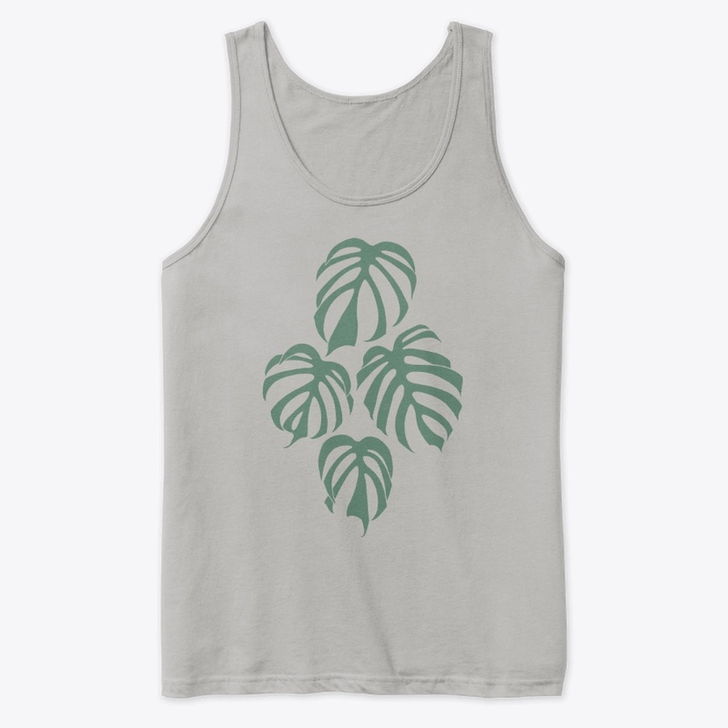 Monstera Deliciosa var. Sierrana Plant