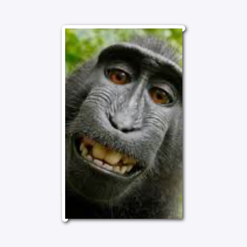 Monkey themed things 