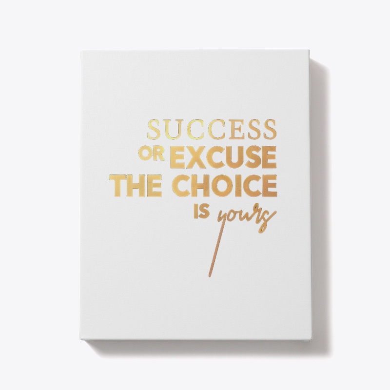 Success or Excuse The Choice is Yours