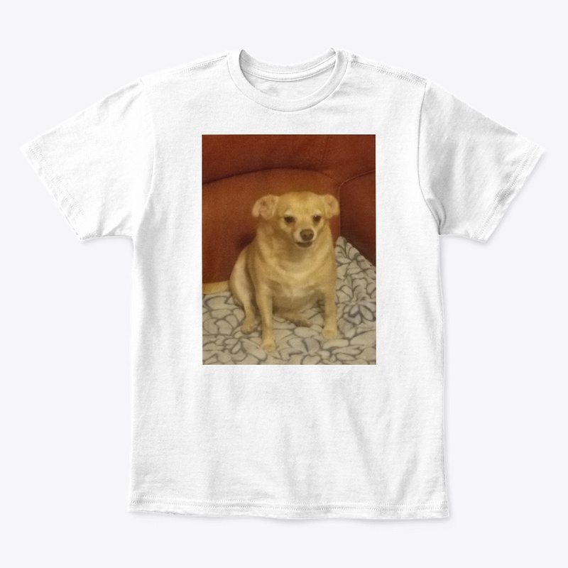 Angry Chihuahua