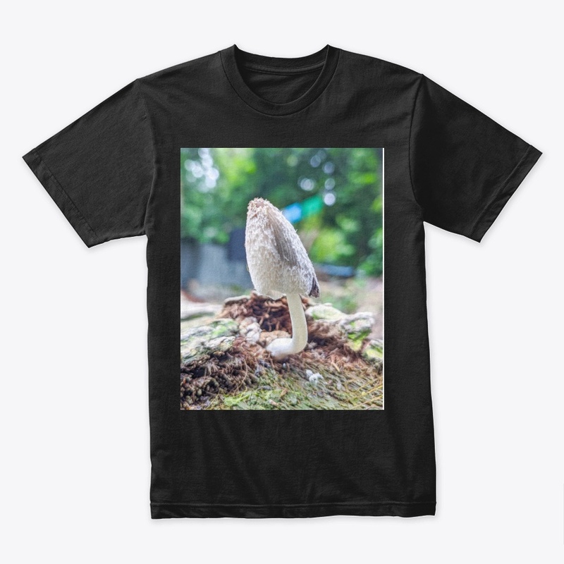 Comfort Colors  Tee price