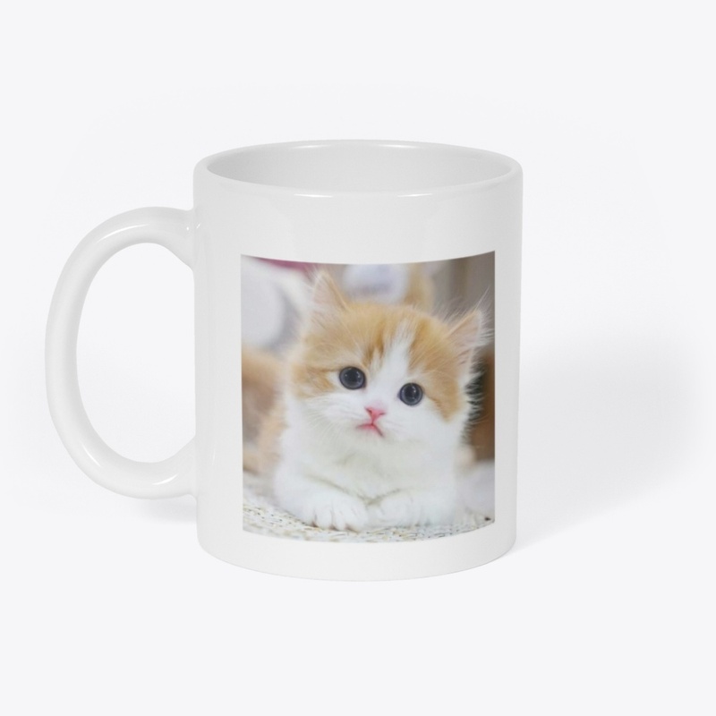 Cute Kitten Vibes