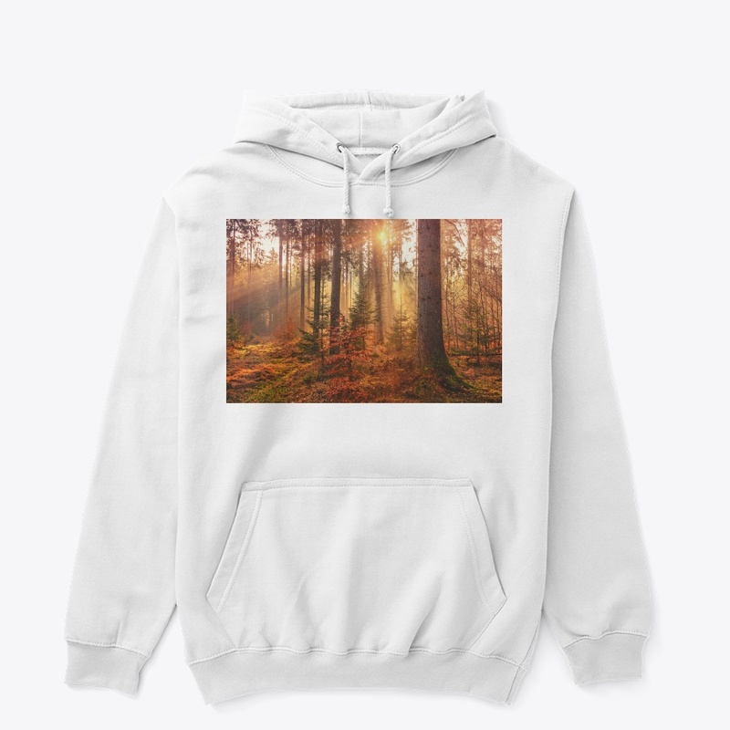 Value12 Sunshine in the forest