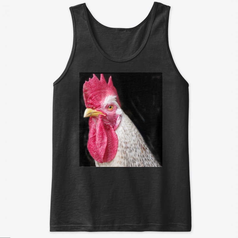 rooster chicken farm animal