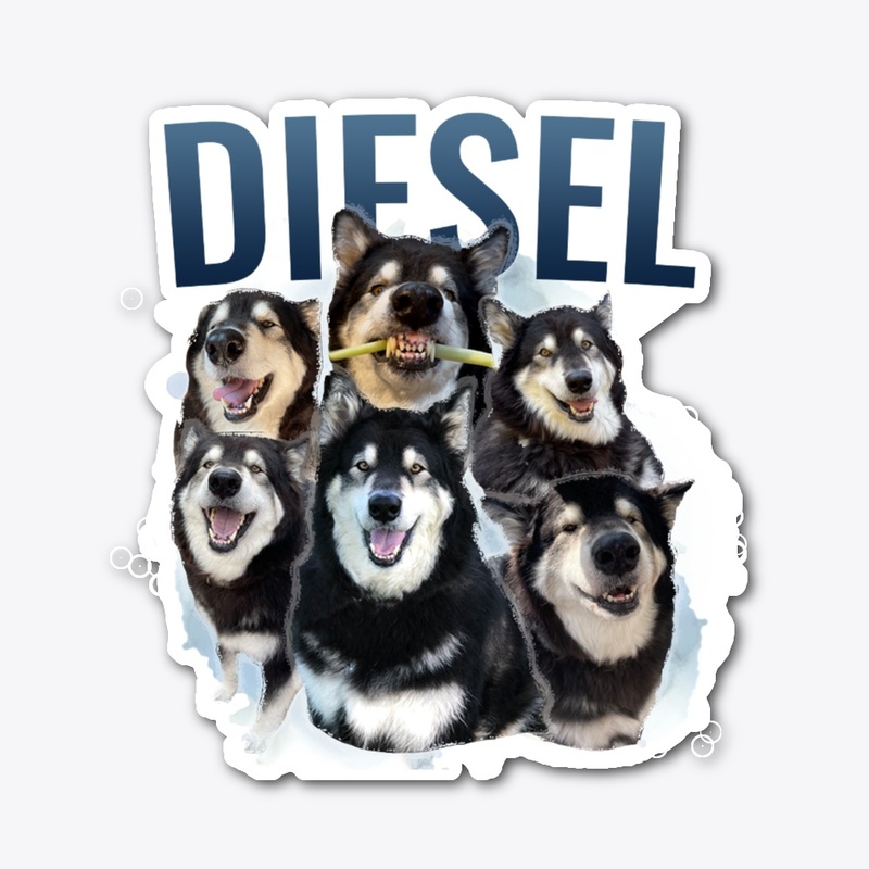 Malamute Mania