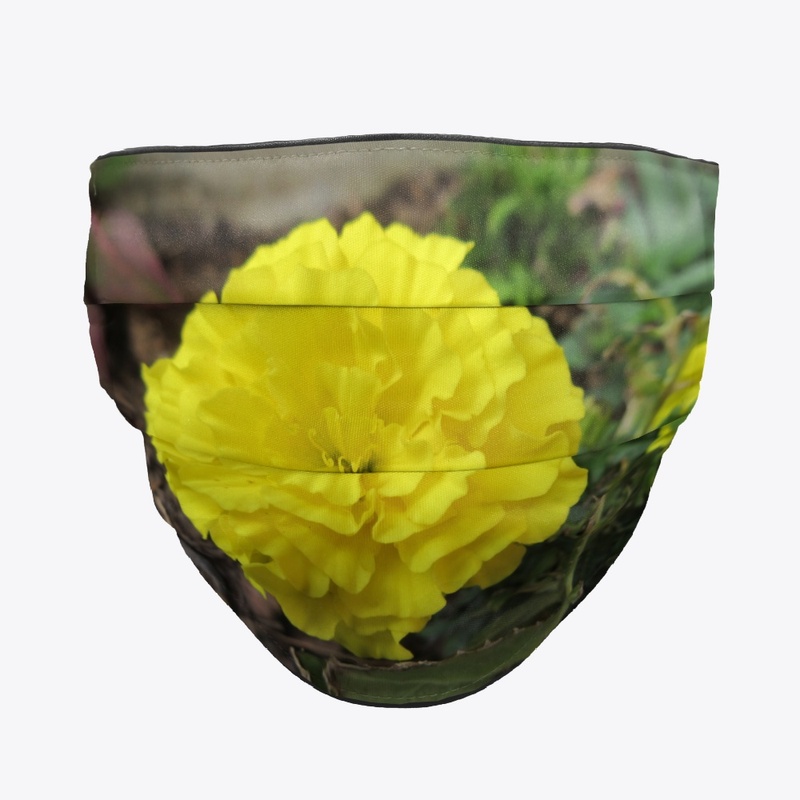yellow rose