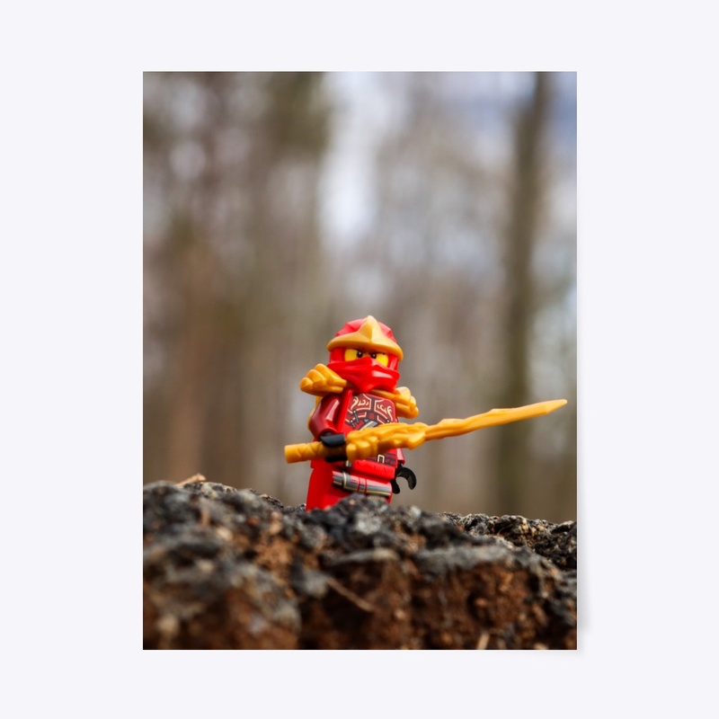 "The Red Ninja" (2 of 5 set)
