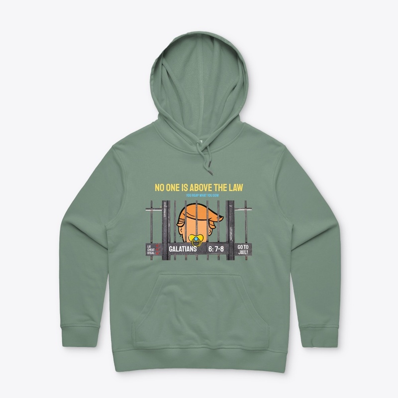 Trump Hoodie | No One Is Above The Law