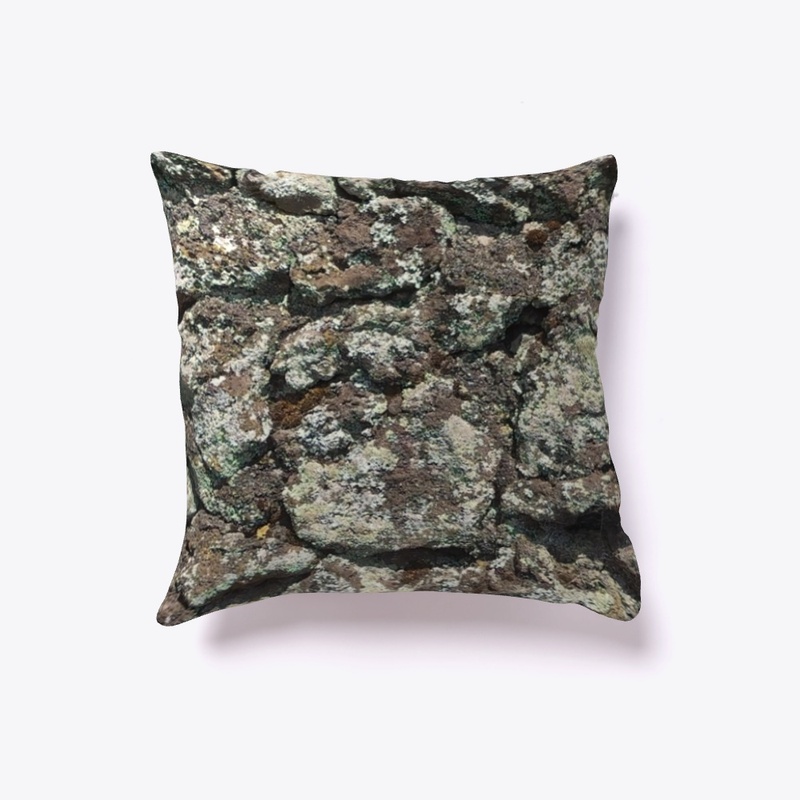 LICHEN COVERED VOLCANIC ROCK WALL