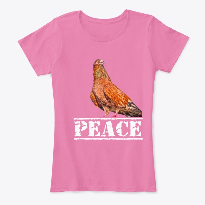 Pigeon