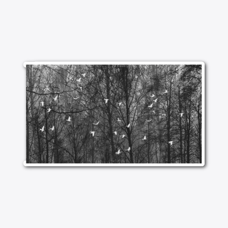 Veil of Trees