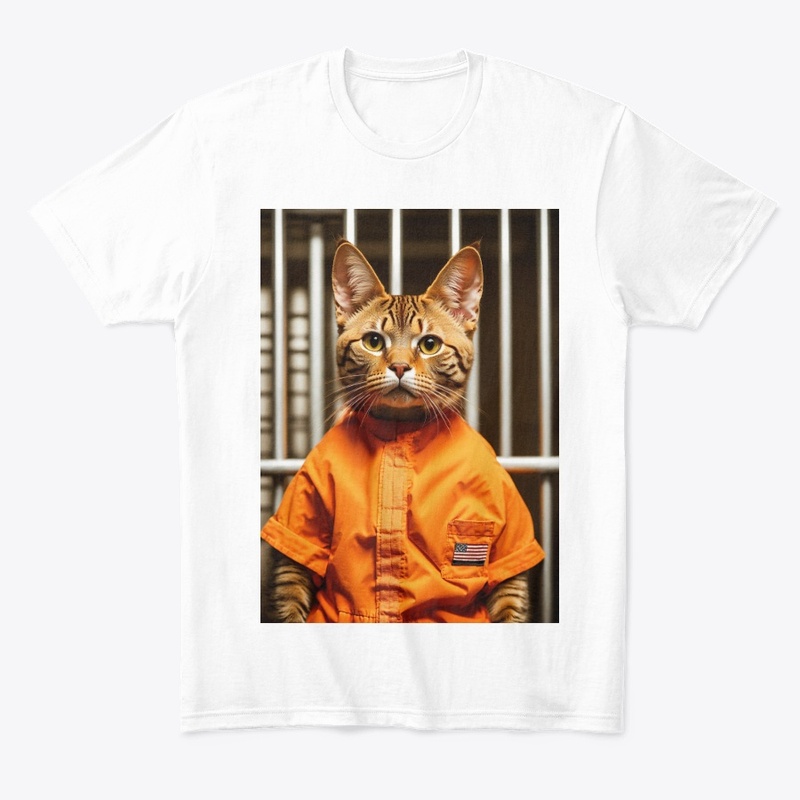 funny cat 