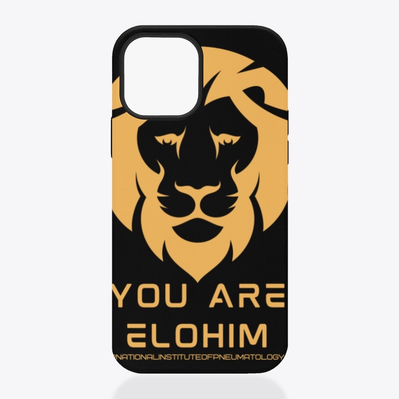 You are Elohim 