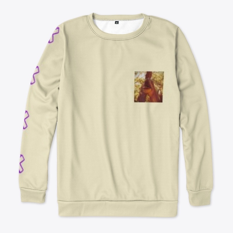 Dino Sweater