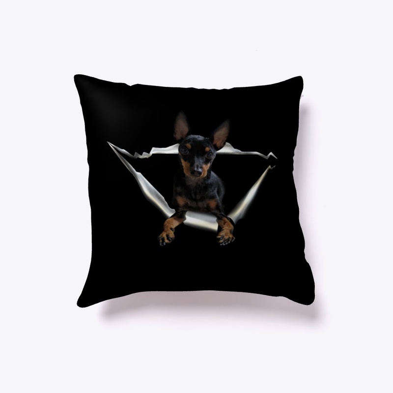 English Toy Terrier