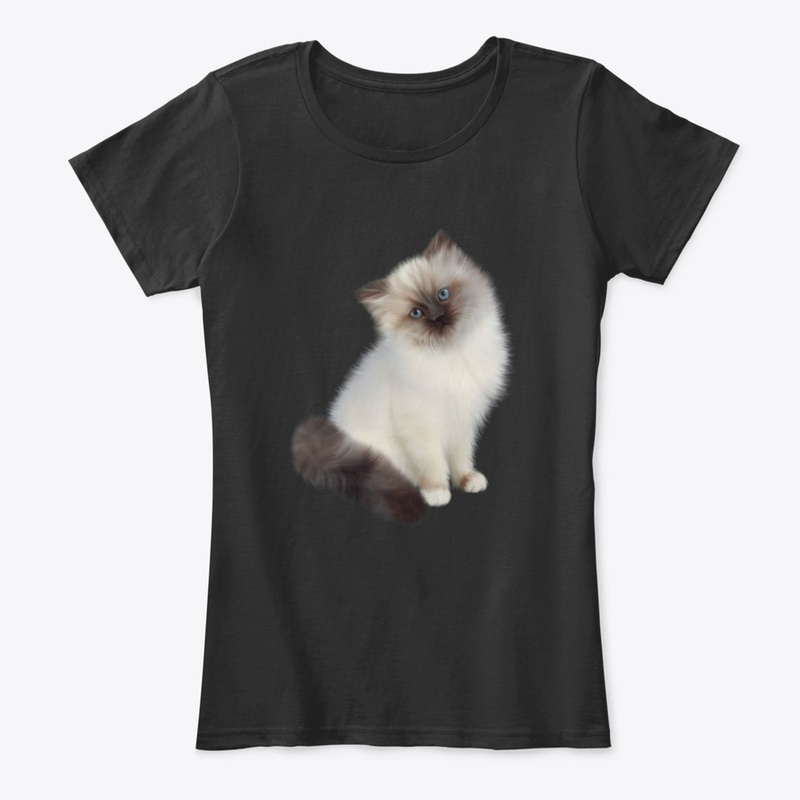 Lovely  Cat