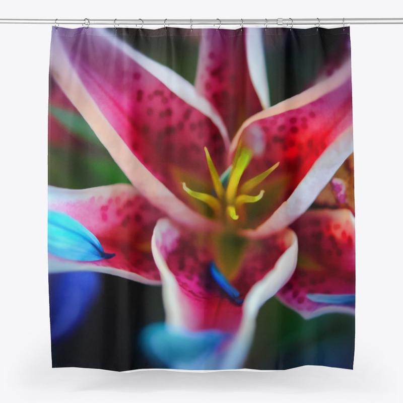 Blue Petals on a Pink and White Lily
