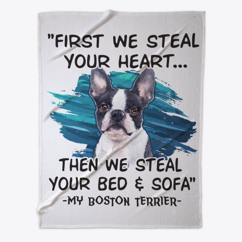 Boston Terrier Lover Gift First Steal