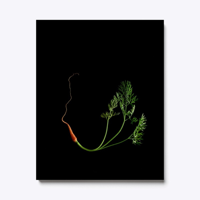 Falling Carrot