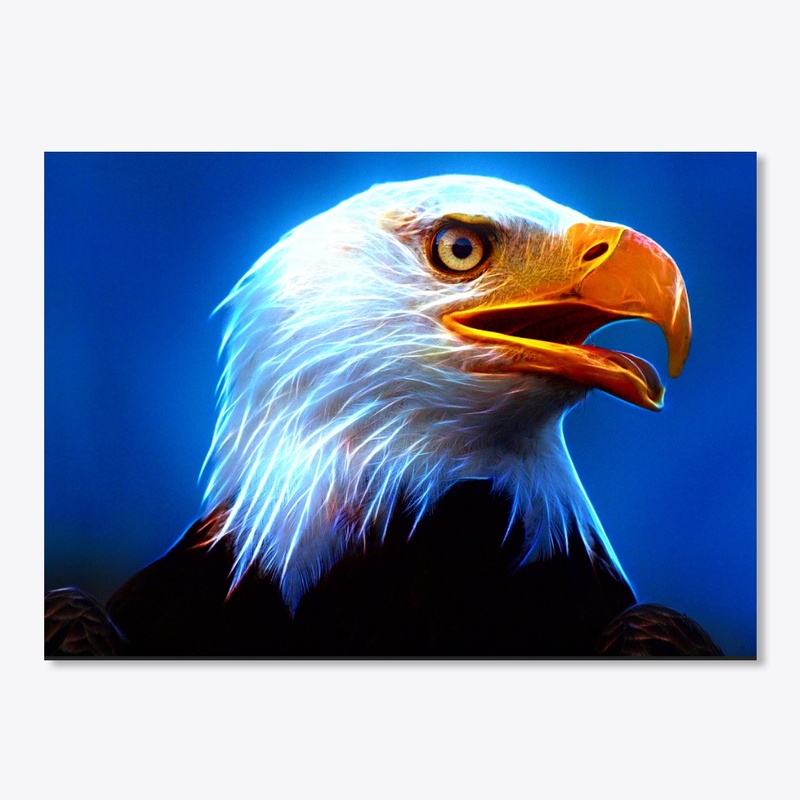 AMERICAN EAGLE