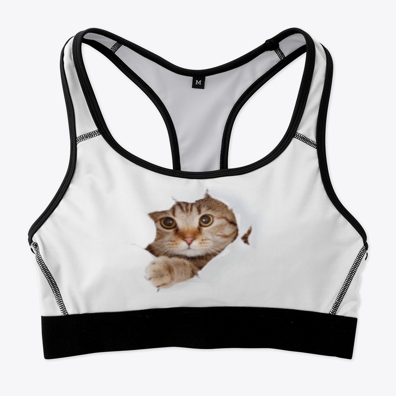 Kitten Lovers