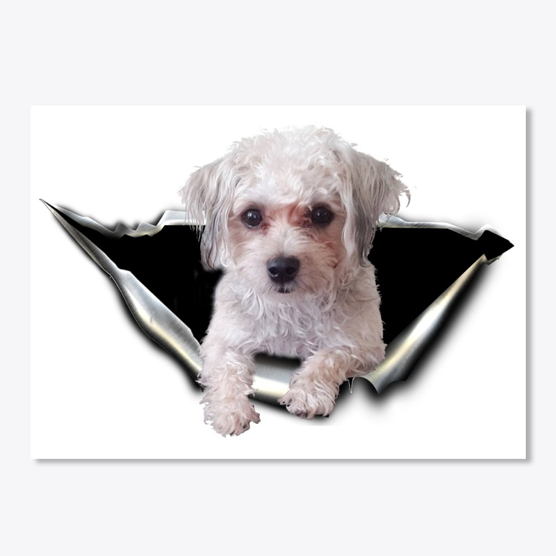 morkie 3D Car sticker