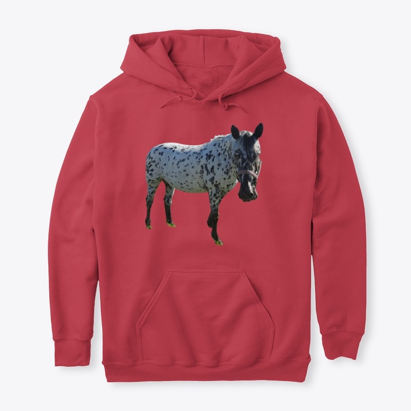 horse i love