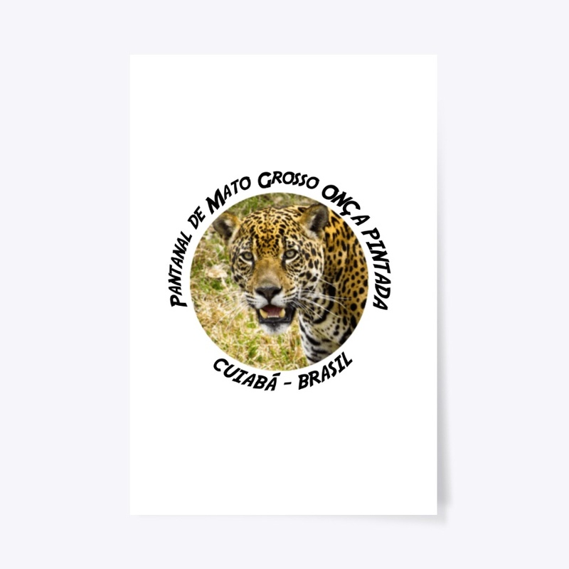 Pantanal de Mato Grosso - Onça Pintada