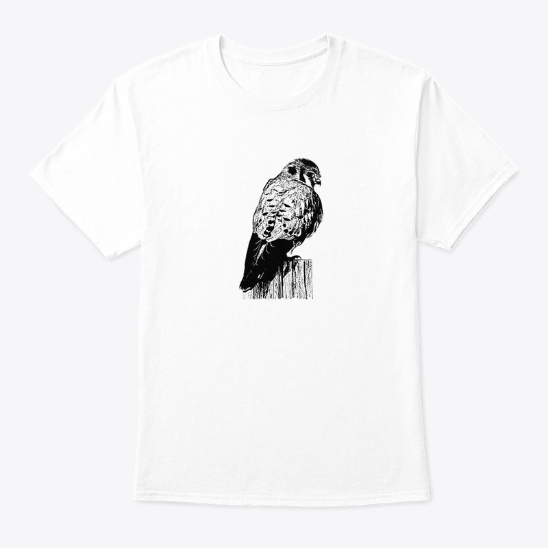 American Kestrel Birdwatching