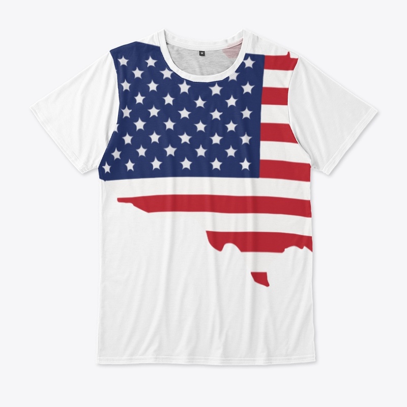 USA Flag in Map
