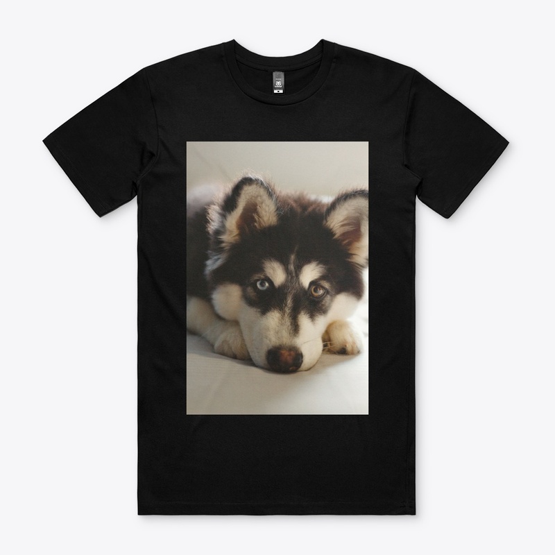 Men's T-Shirt