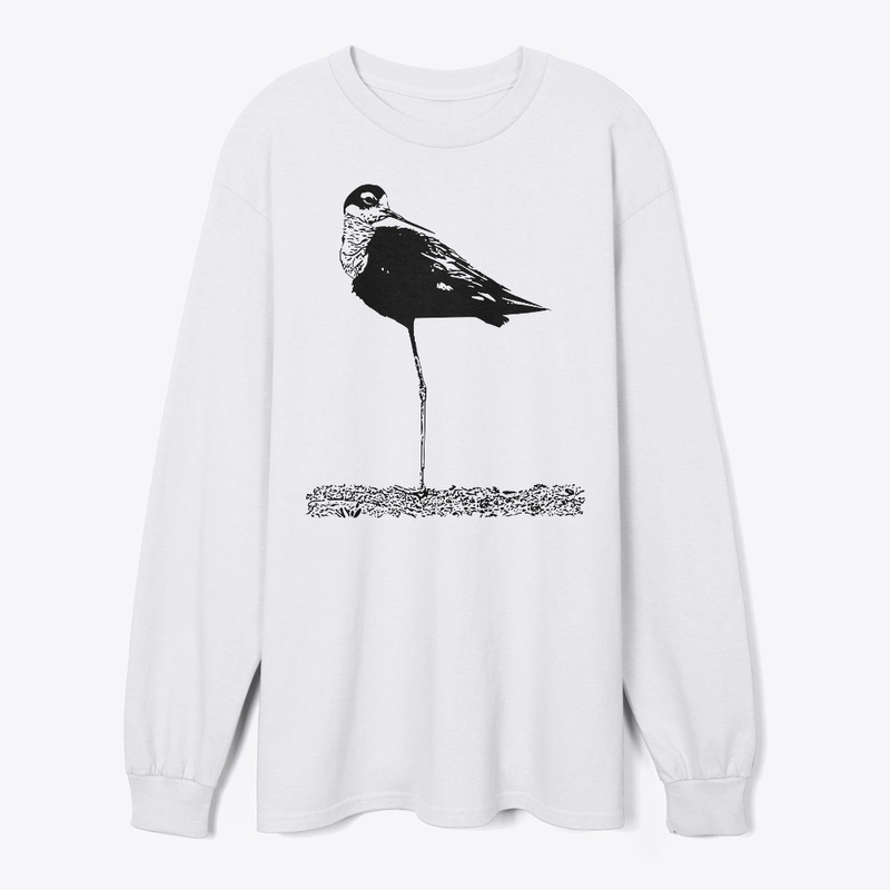 Black-necked Stilt