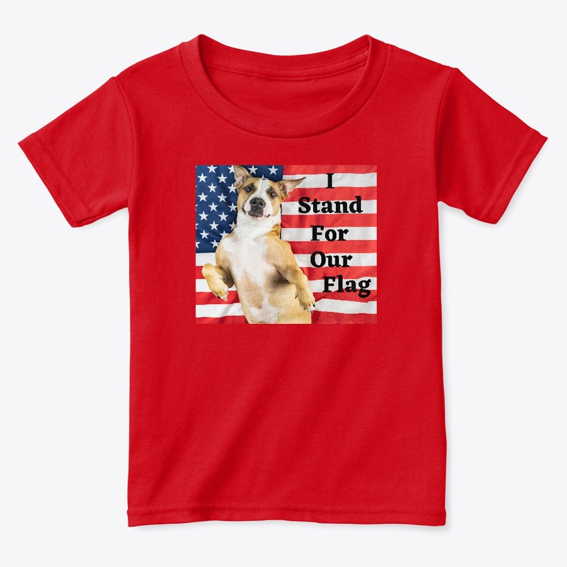 I Stand For Our Flag