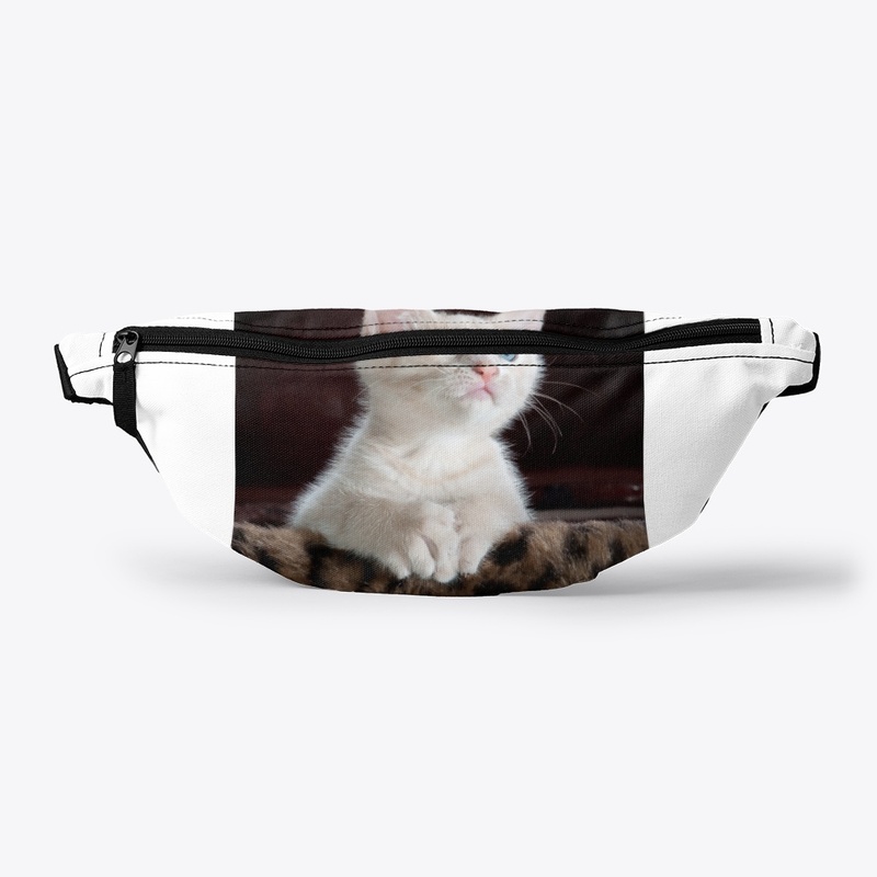 Funny cat printed products