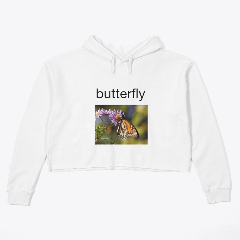 btterfly collection