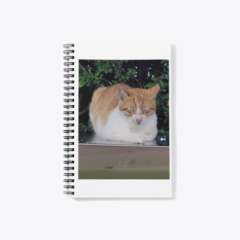 note cover_cat pet sky natural