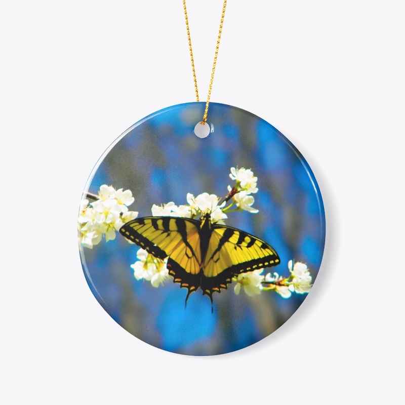 Beautiful Black and Yellow Butterfly