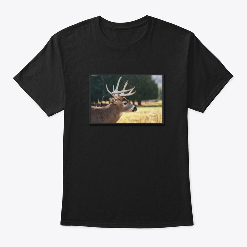 Brown Buck design