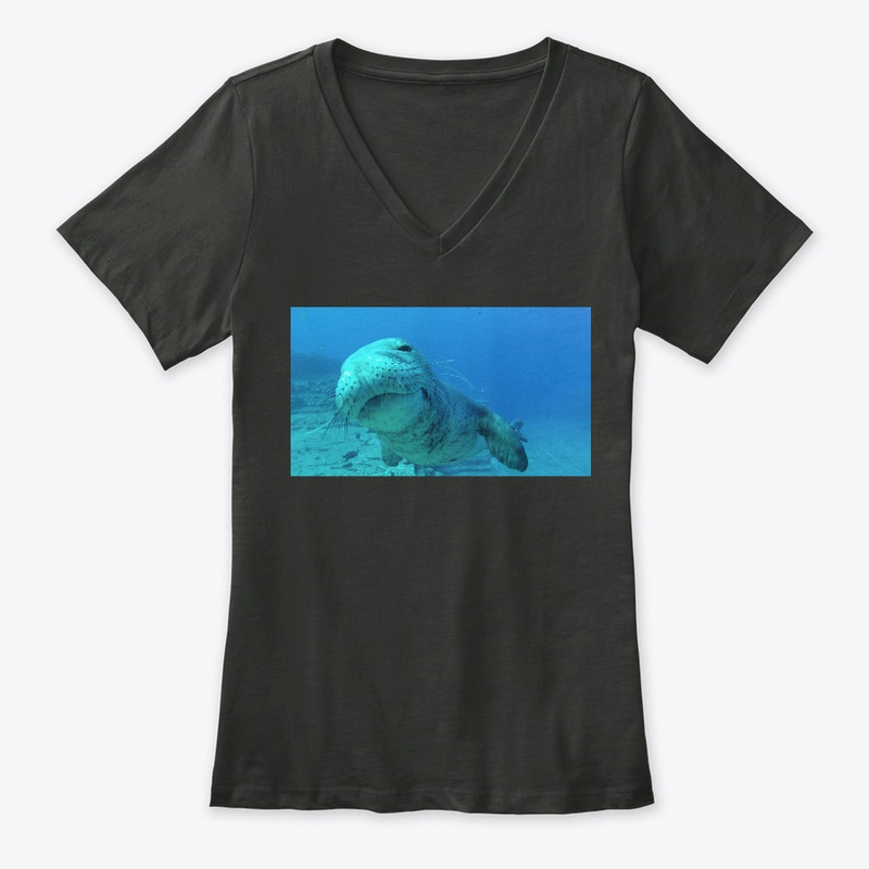 Monks of the sea
