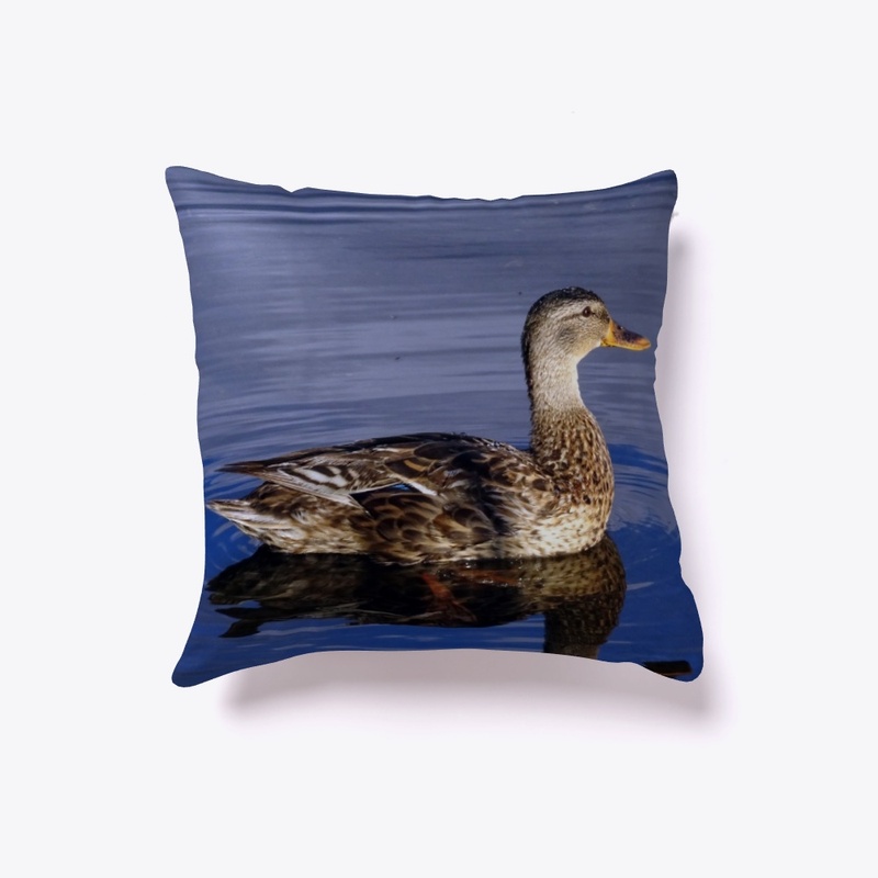 There was only a duck on the lake...