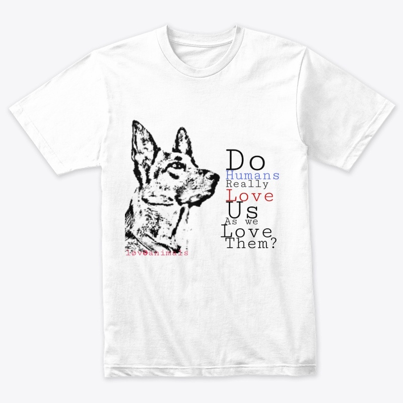 Love Animals