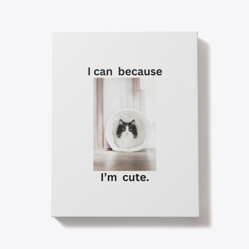 cute kitties