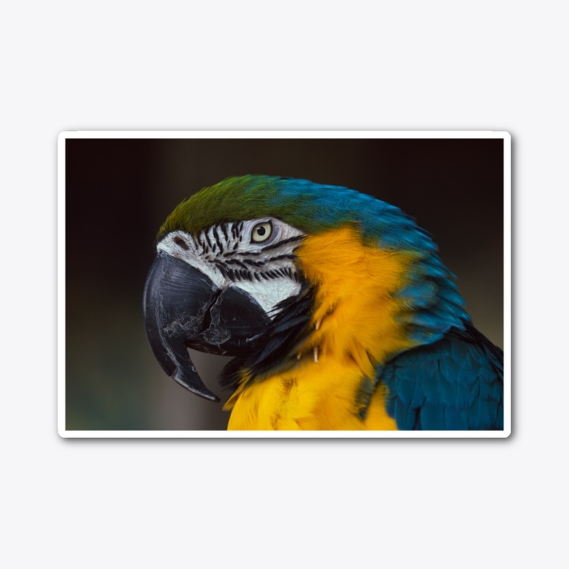 Birds of a feather 3