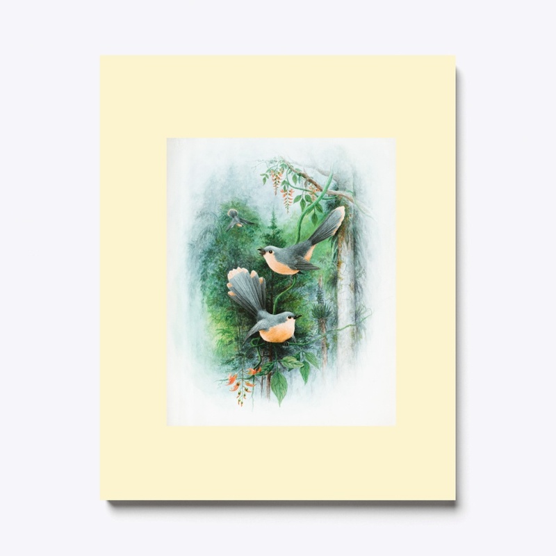 NATURE TOUCH