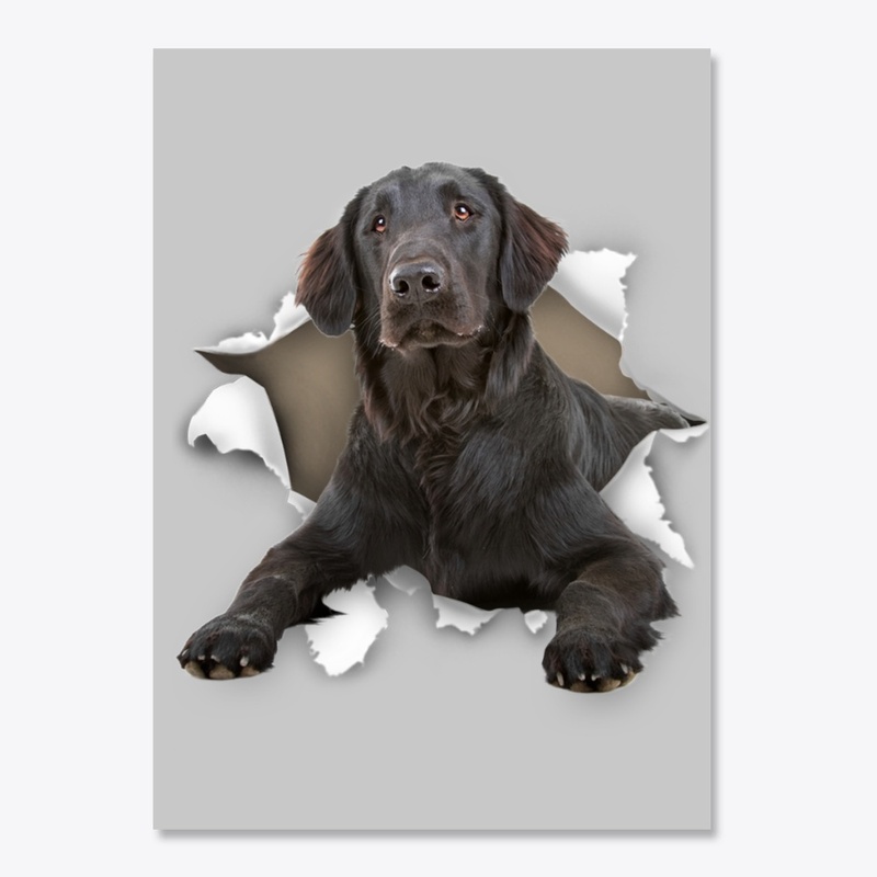 Flat Coated Retriever Torn Paper