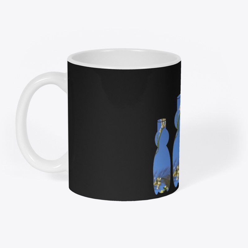 environment flask